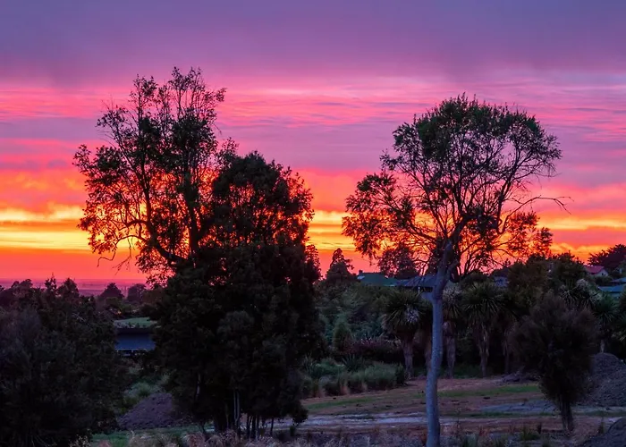 Nga Whare Manatu
